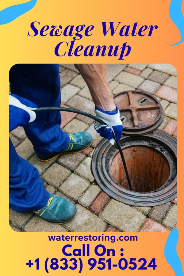 Sewage Water Cleanup in Ukiah, CA