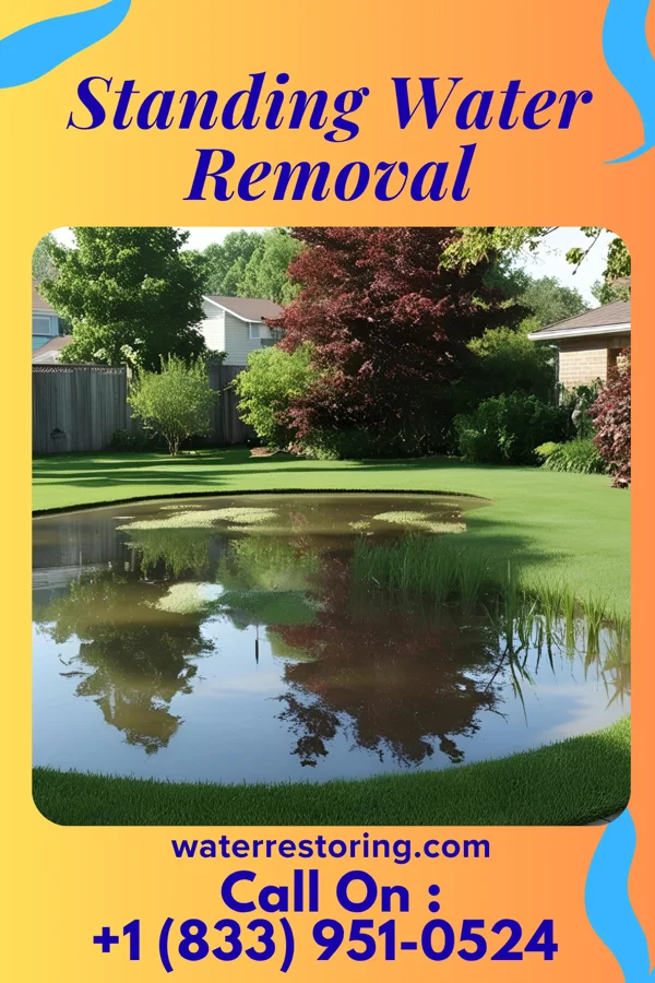 Standing Water Removal in Ukiah, CA
